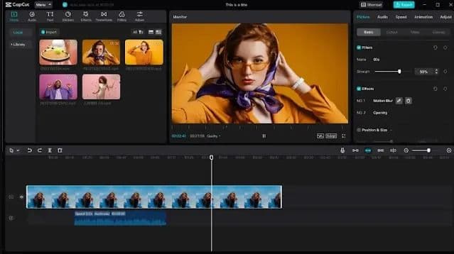 Video demo